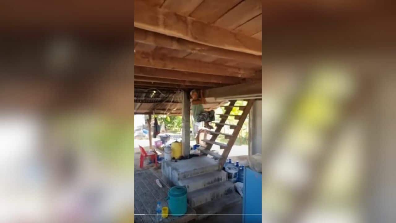 Пожилая женщина перепрыгнула на безопасное расстояние после страха перед змеей в Рой Эт (видео)